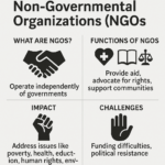 Non-Governmental Organizations (NGOs)